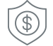 Fraud Protection shield icon