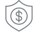 Fraud Protection shield icon